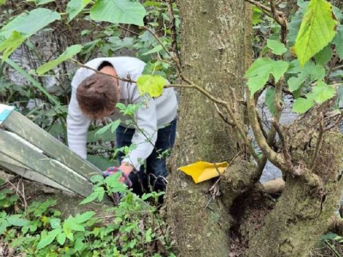 黑狗受困湍急溪流，八里動物之家即刻救援守護生命
